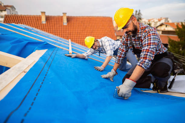 Best Commercial Roof Installation  in Elkins, WV