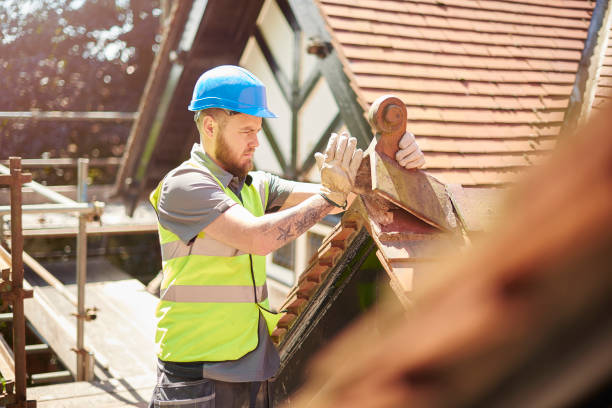 Best Roof Gutter Cleaning  in Elkins, WV